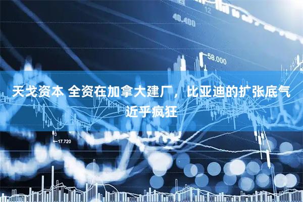 天戈资本 全资在加拿大建厂，比亚迪的扩张底气近乎疯狂