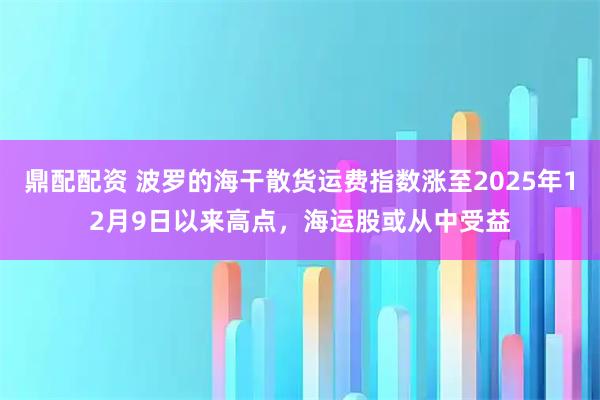 鼎配配资 波罗的海干散货运费指数涨至2025年12月9日以来高点,海运股或从中受益
