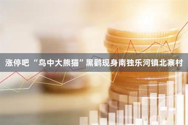 涨停吧 “鸟中大熊猫”黑鹳现身南独乐河镇北寨村