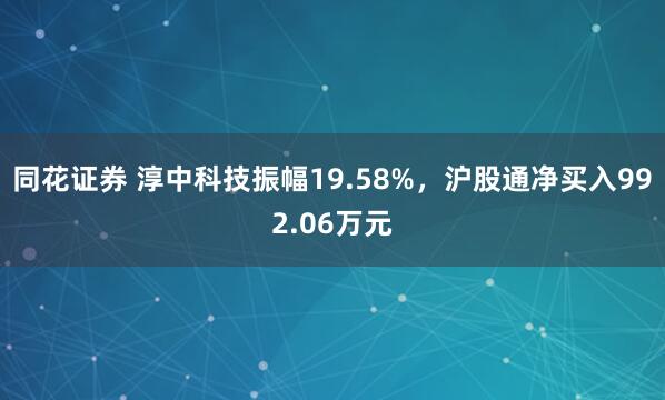 同花证券 淳中科技振幅19.58%，沪股通净买入992.06万元