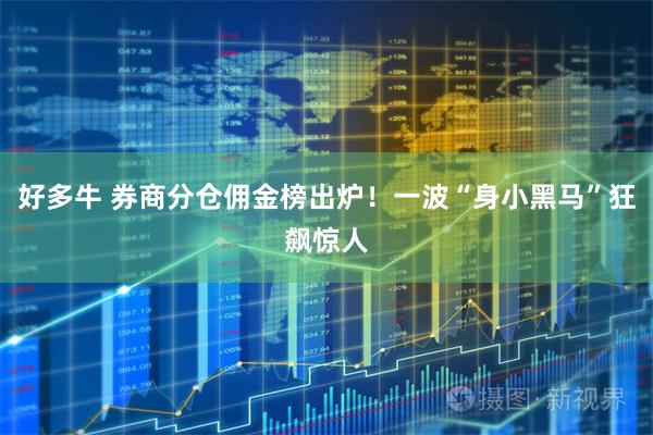 好多牛 券商分仓佣金榜出炉！一波“身小黑马”狂飙惊人