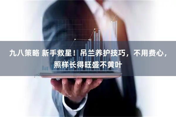 九八策略 新手救星！吊兰养护技巧，不用费心，照样长得旺盛不黄叶