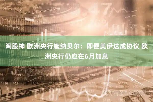淘股神 欧洲央行施纳贝尔：即便美伊达成协议 欧洲央行仍应在6月加息