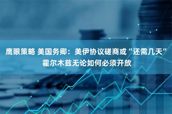 鹰眼策略 美国务卿:美伊协议磋商或“还需几天” 霍尔木兹无论如何必须开放