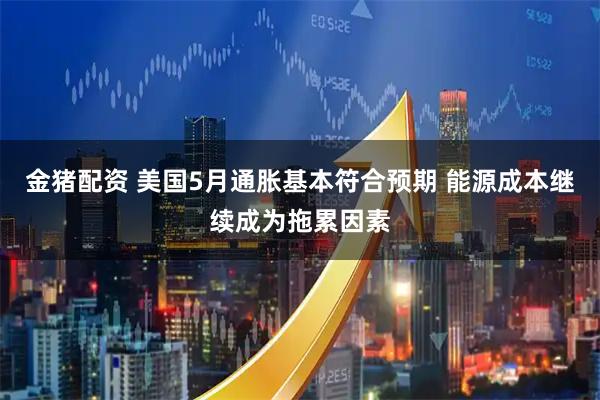 金猪配资 美国5月通胀基本符合预期 能源成本继续成为拖累因素