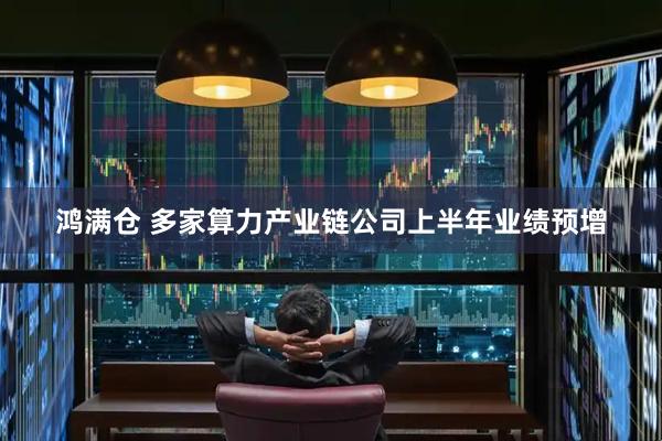 鸿满仓 多家算力产业链公司上半年业绩预增