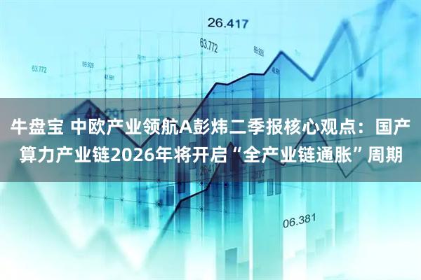 牛盘宝 中欧产业领航A彭炜二季报核心观点：国产算力产业链2026年将开启“全产业链通胀”周期